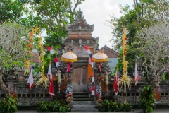 Bali-spettacolo