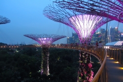 Singapore-passerella-supertree-gloves