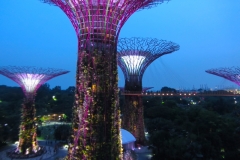 Singapore-supertree-gloves